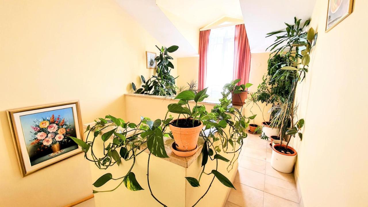 Villa Palcic Novalja Eksteriør billede
